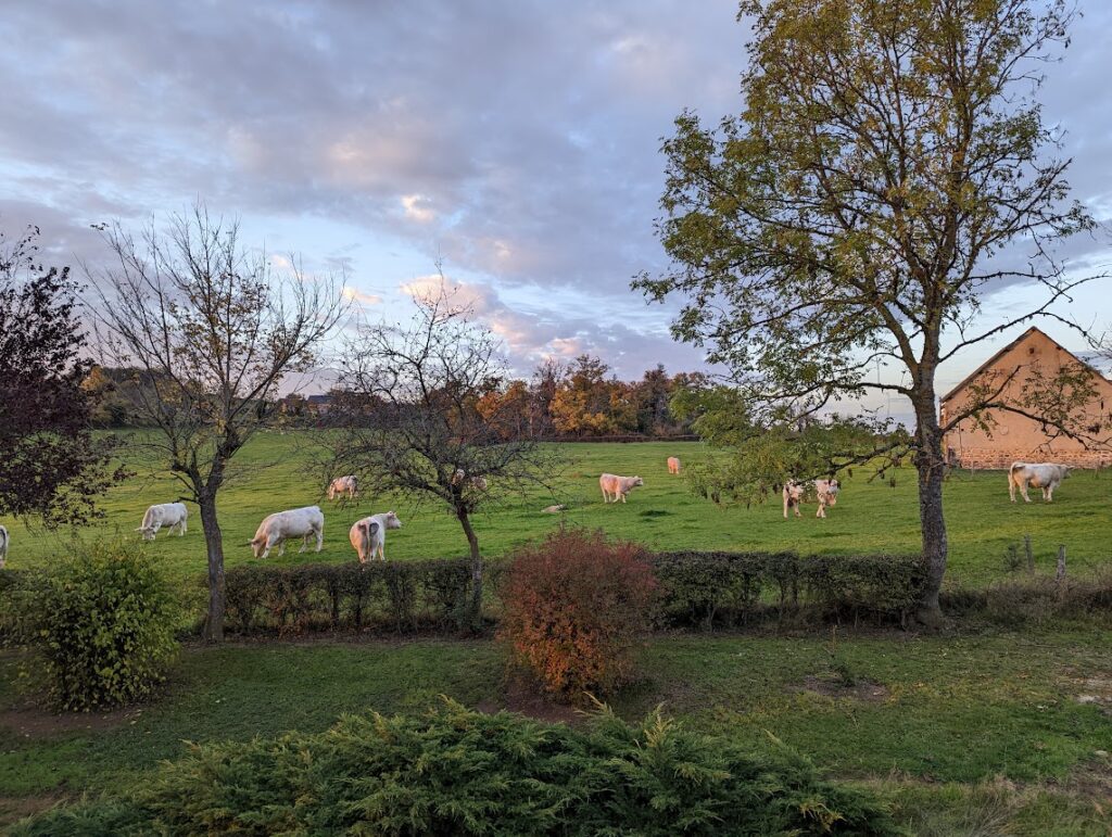 sallebrune, château, gîte, auvergne