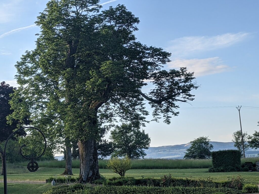 sallebrune, château, gîte, auvergne